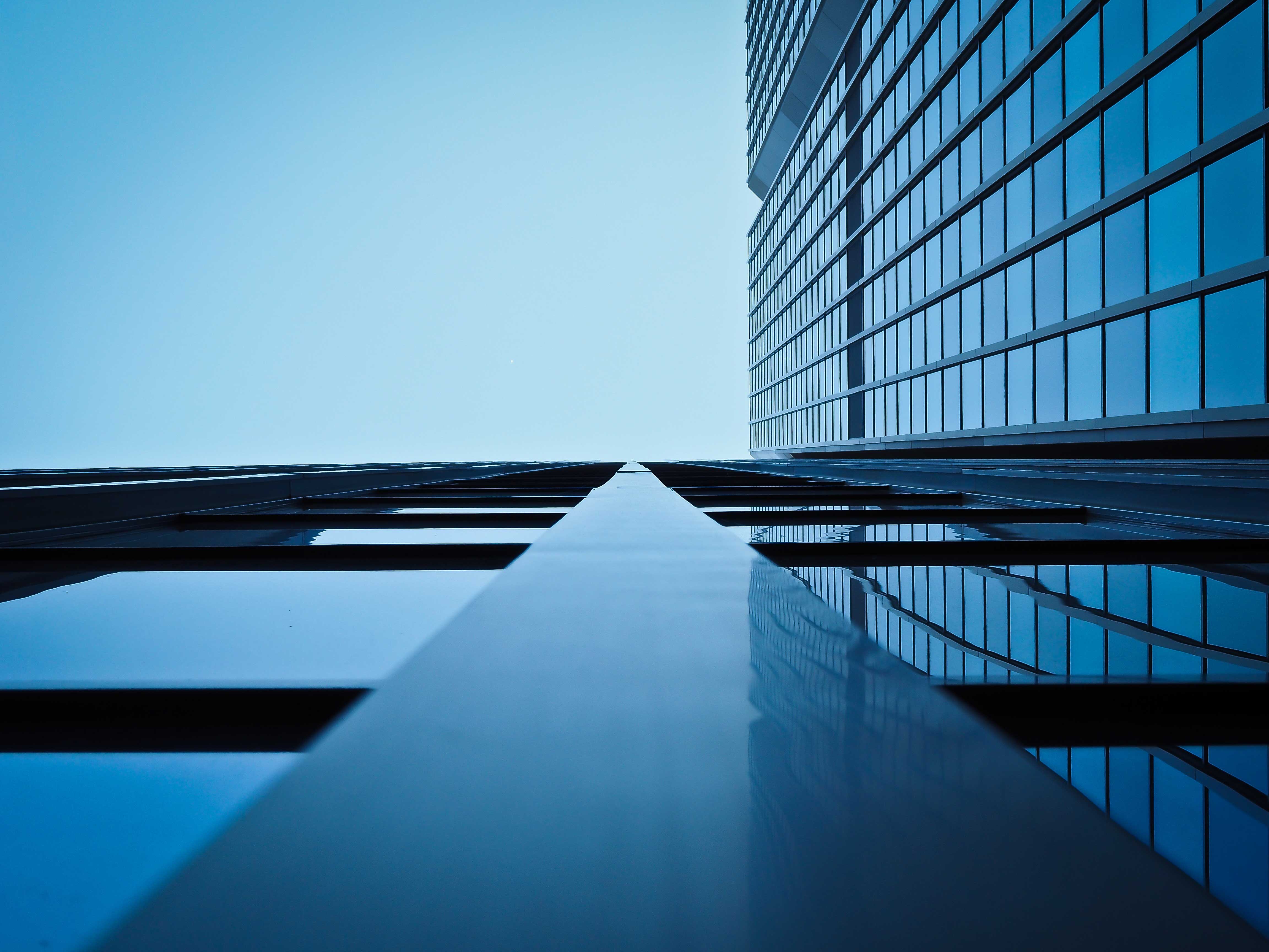 SAP partner