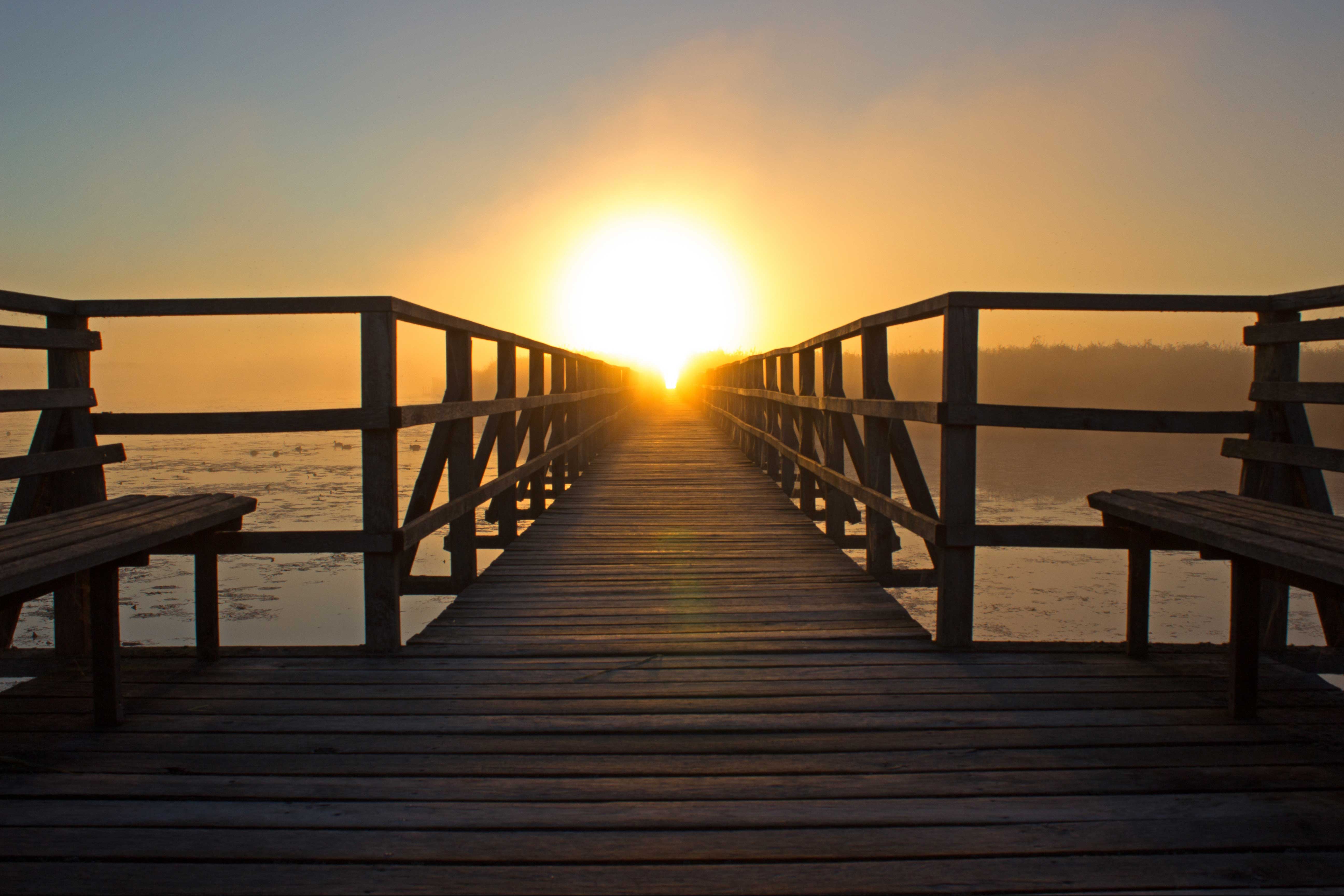About AppsTCH SAP Partner vision