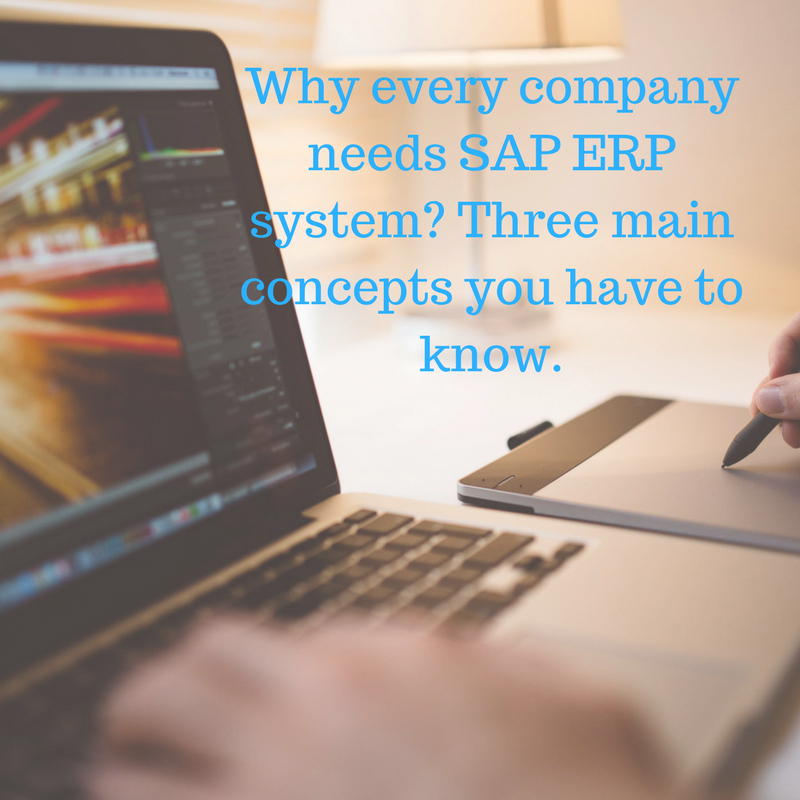 company erp SAP system